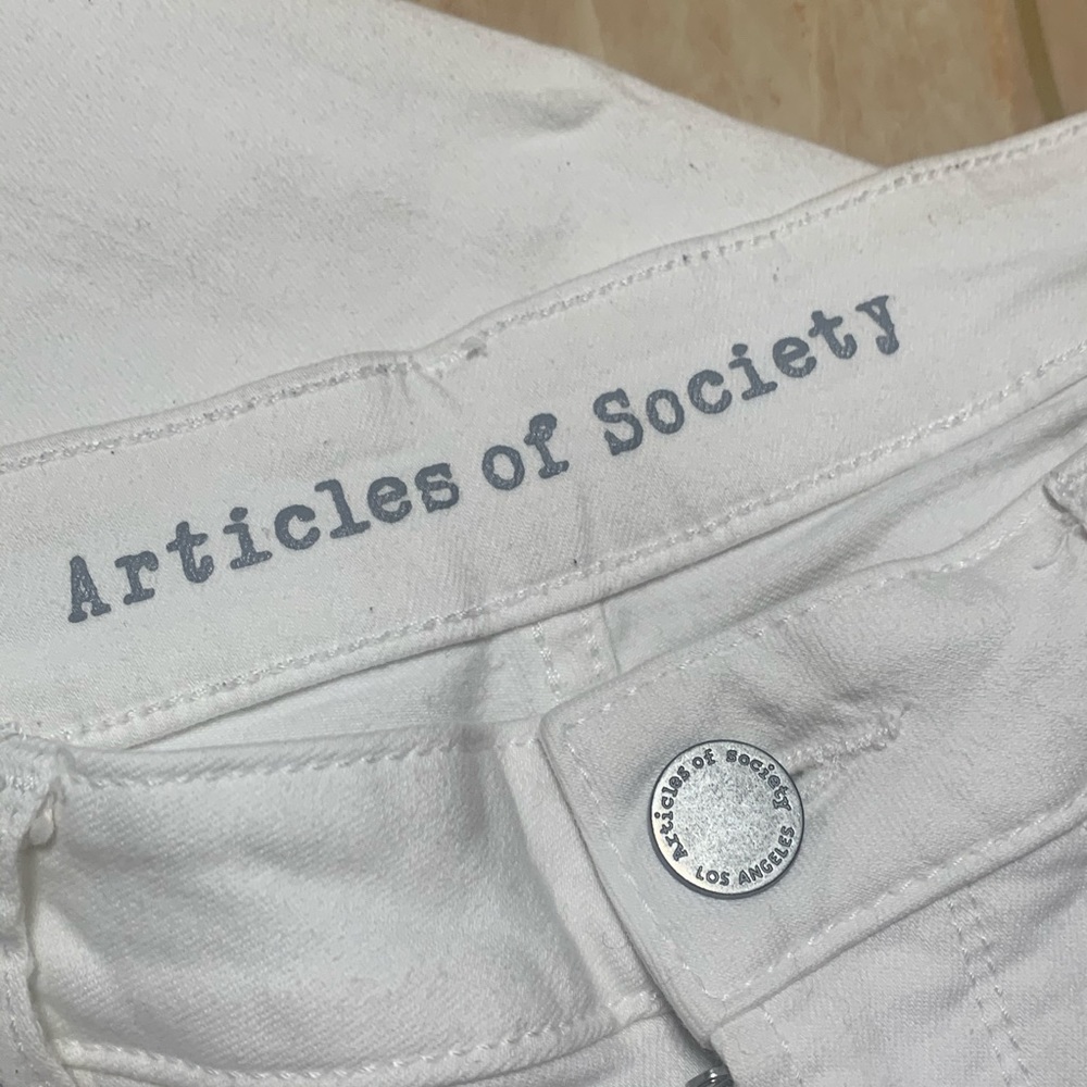 Articles of society 29x29 - Picture 7 of 12
